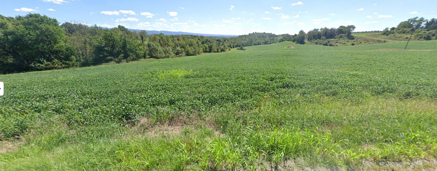 Pennsylvania: 100 Acres for Farm and Housing